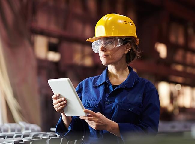 IBM Maximo® Management Interface: The Complete Overview